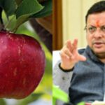 मिशन एप्पल से बदलेगी पहाड़ के किसानों की तस्वीर, नैनीताल के बागवानों को मिलेगा बड़ा सहारा